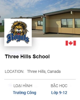 Three Hills School